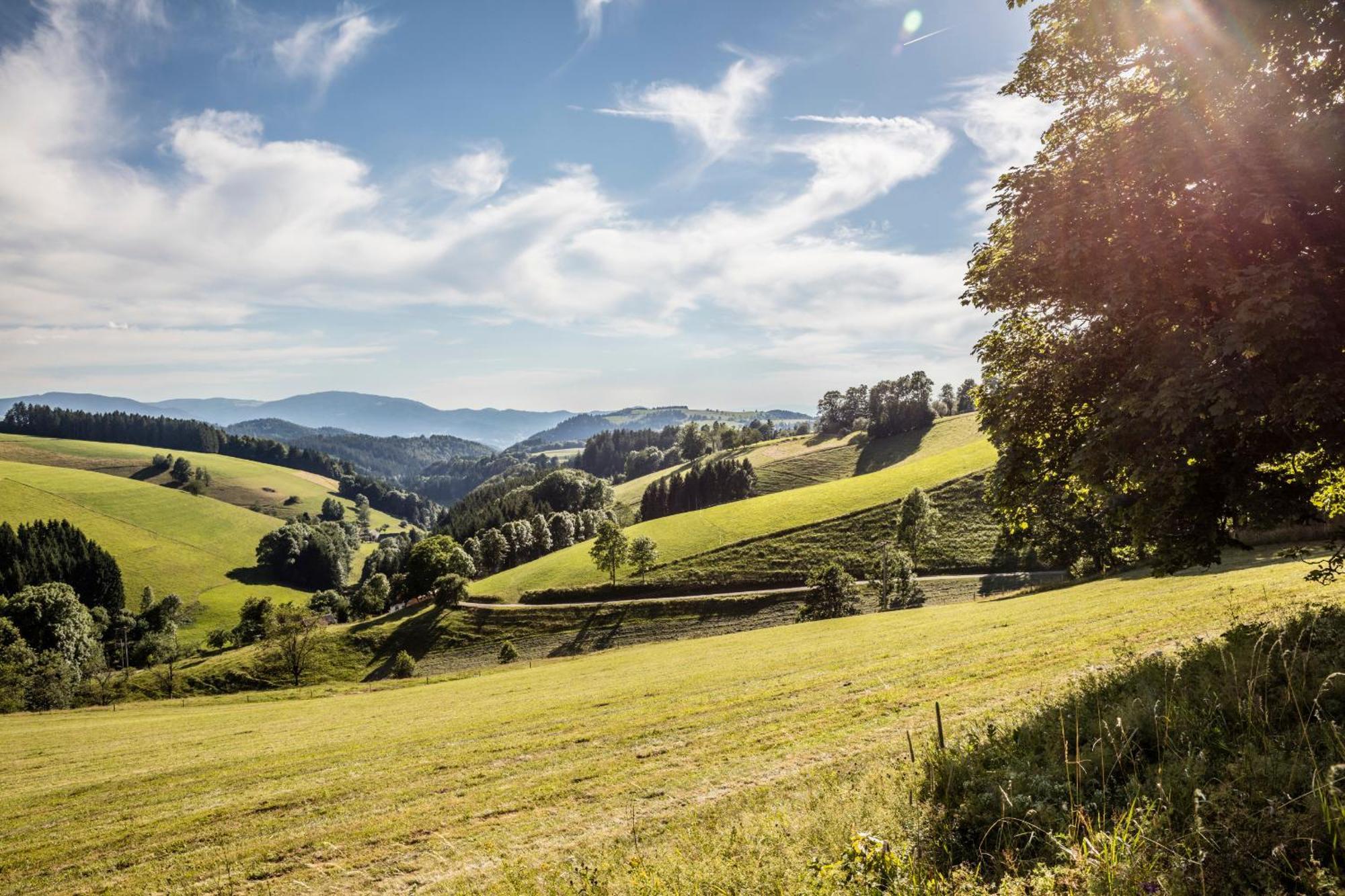 Ferienwohnung Fewo Turmblick Oberried  Exterior foto